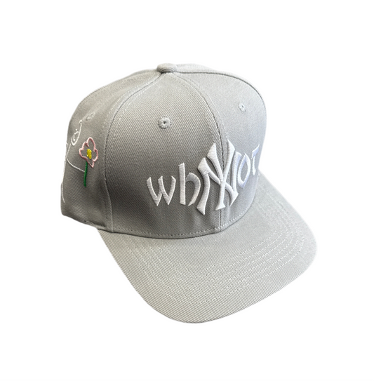 Why Not 'NY' Snapback Grey