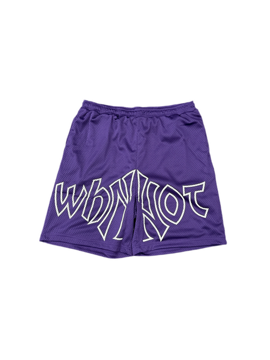 Why Not Mesh Shorts Purple