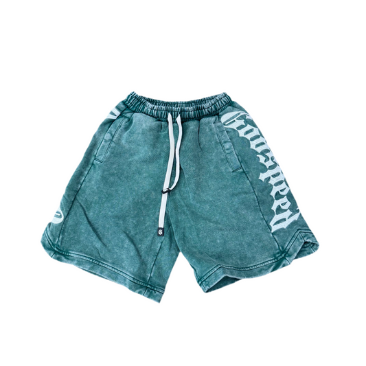 Godspeed Court Side Shorts Green