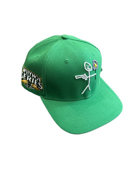 Why Not Logo Snapback